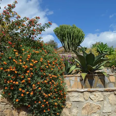 Resort Lavinia Naturist San Vicente Raspeig
