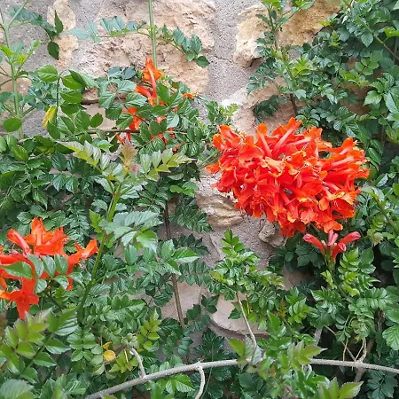 Lavinia Naturist Ośrodek wypoczynkowy 3*