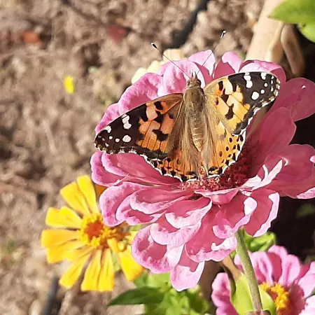 Feriested Lavinia Naturist